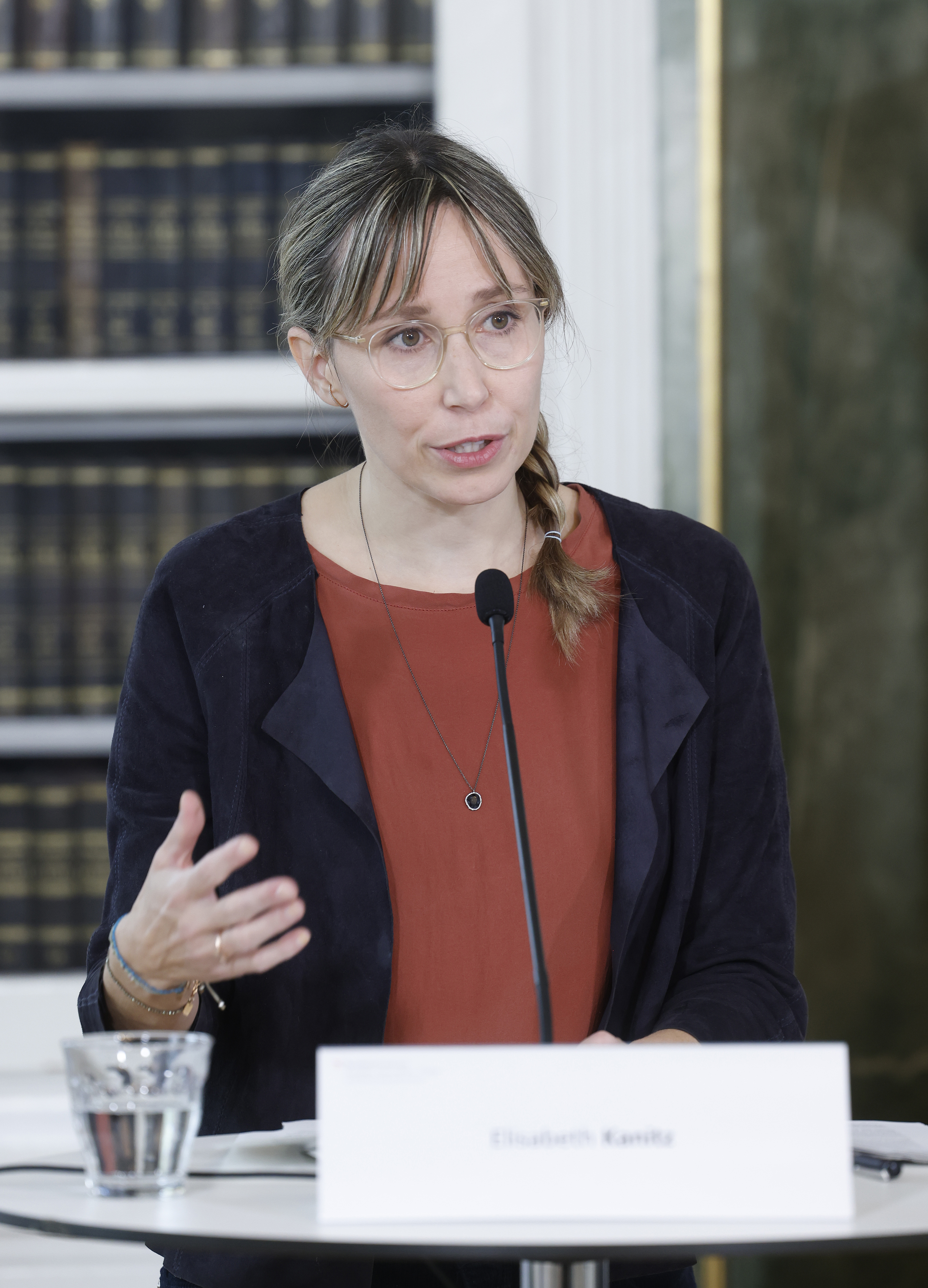 Elisabeth Kanitz, Gesundheit Österreich GmbH