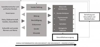 Wirkkette Verteilung der Gesundheit (WHO 2008)