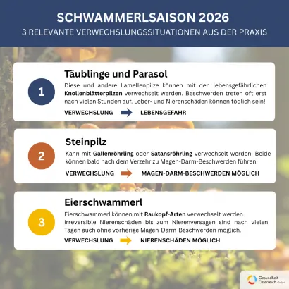Vorsicht vor giftigen Pilzen - Übersichtsinfoblatt der Vergiftungsinformationszentrale.