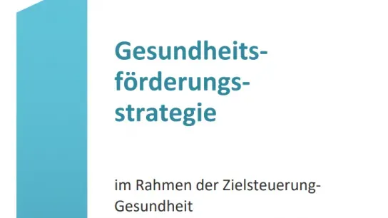 © BMSGPK Titelblatt