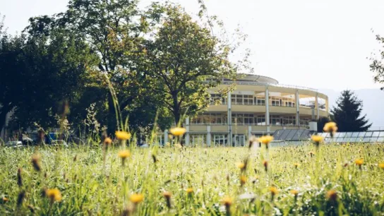 Begrünte Außenanlage einer Gesundheitseinrichtung mit Blumenwiese, Bäumen und einem hellen Gebäude im Hintergrund.